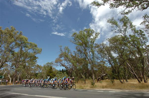 The peloton